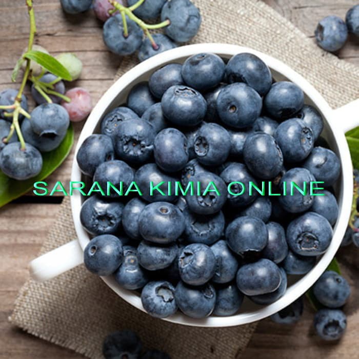 

bibit flavour blueberry 100 cc bisa parfum fragrance oil