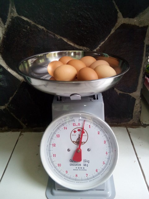 Timbangan Jarum Buah Five Goats Asli