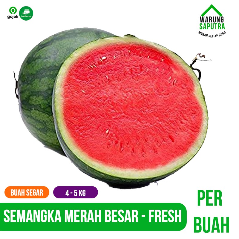 

Buah Semangka Merah Manis Besar Seedless per Buah