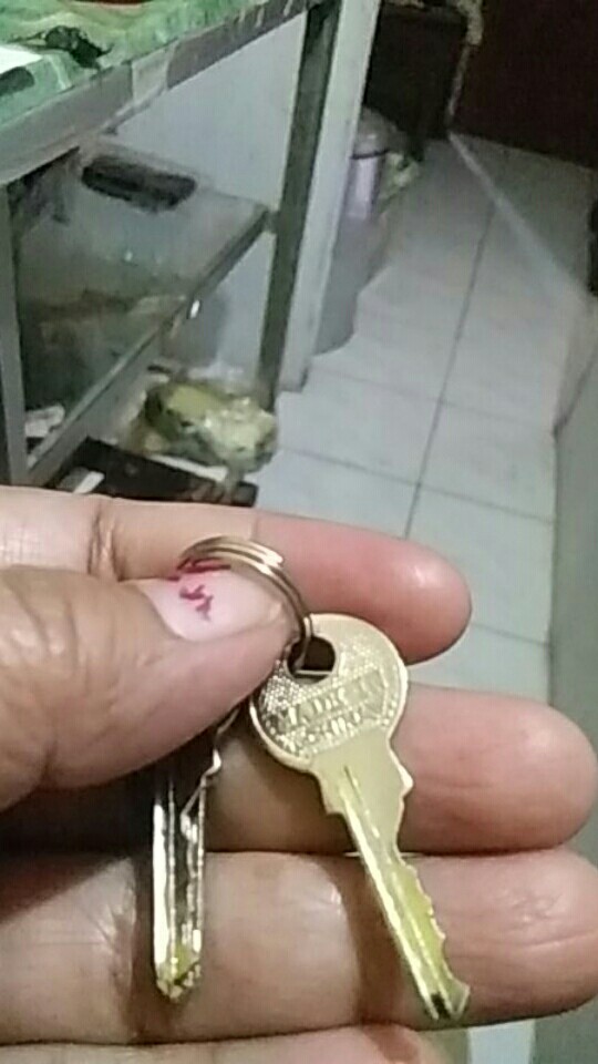 Gembok 38 - 40 Mm Gagang Leher Pendek/ Gembok Rumah/ Kamar/ Pagar