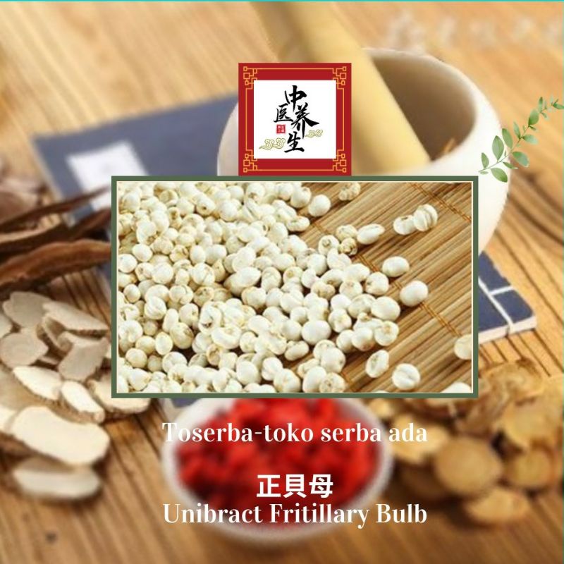 

100gr Herbal Zheng Bei Mu 正貝母 Jian Bei Mu 尖貝母Unibract Fritillary Bulb Grade A