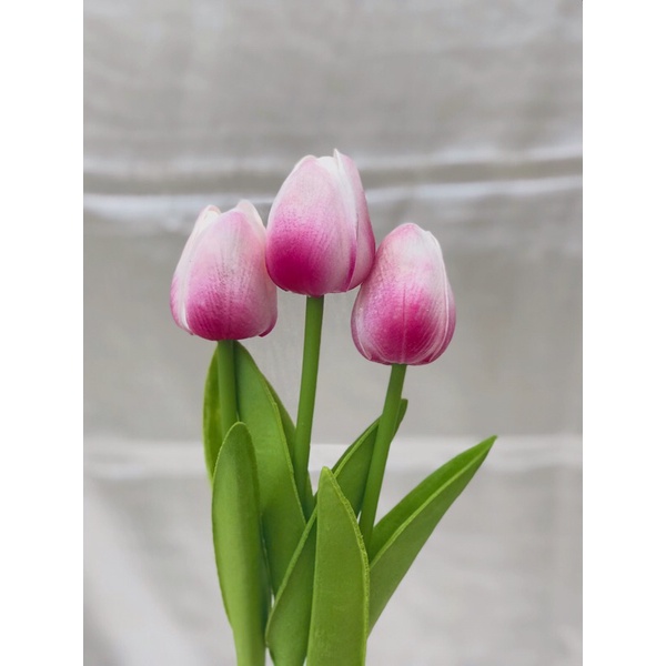 Bunga Tulip Latex Import Real Touch bunga Dekorasi Bunga Artificial Tulip Besar-Pink Putih