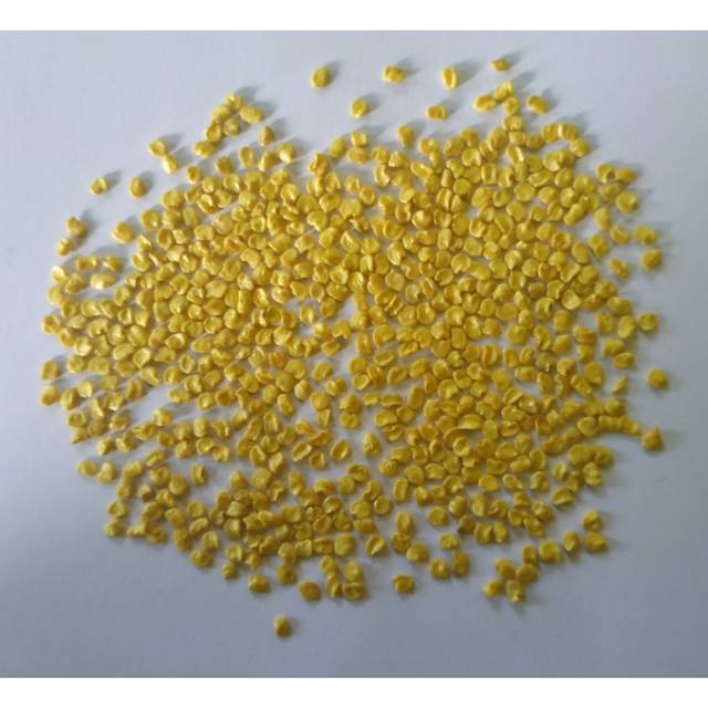 Benih cabe rawit unggul