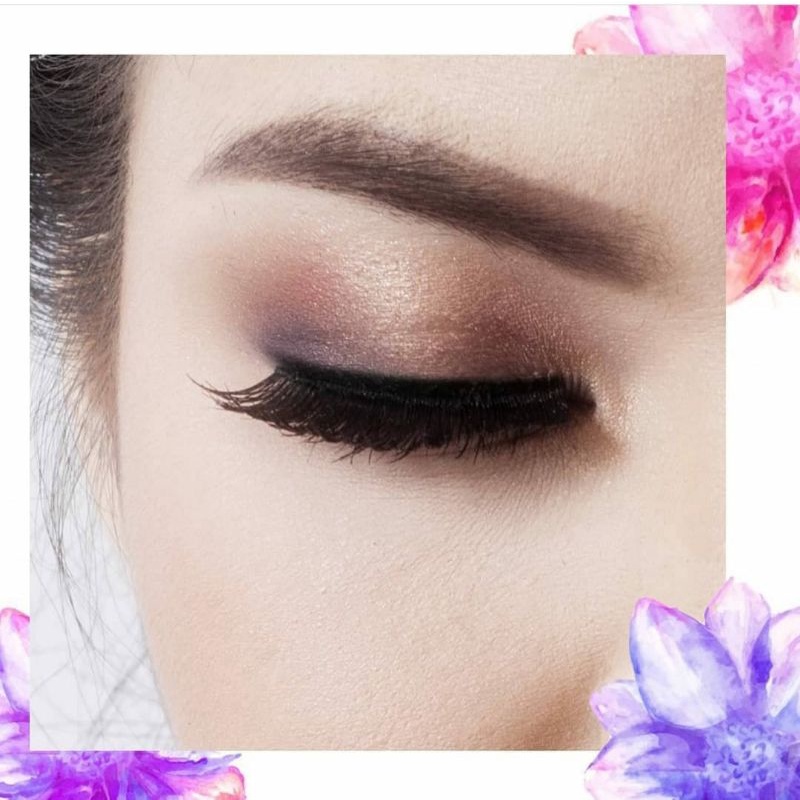 LA TULIPE Eyeshadow | Latulipe Eye Shadow