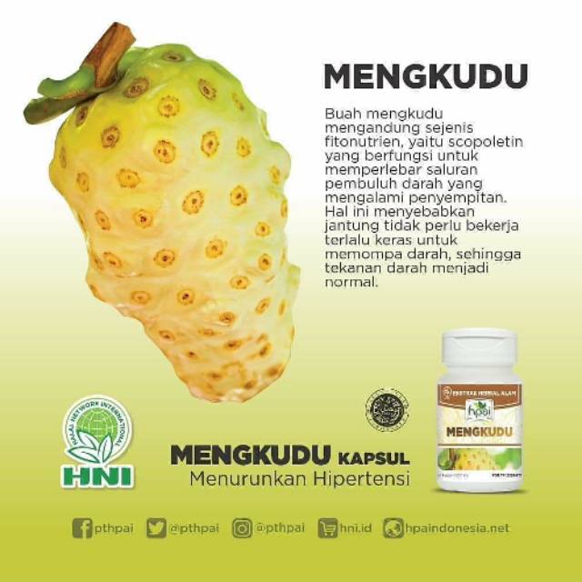 

Mengkudu hnihpai