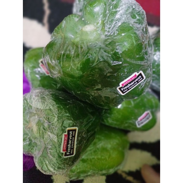

paprika hijau