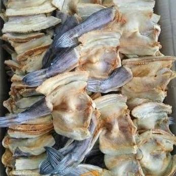 

Ikan Gabus Asin 250Gr