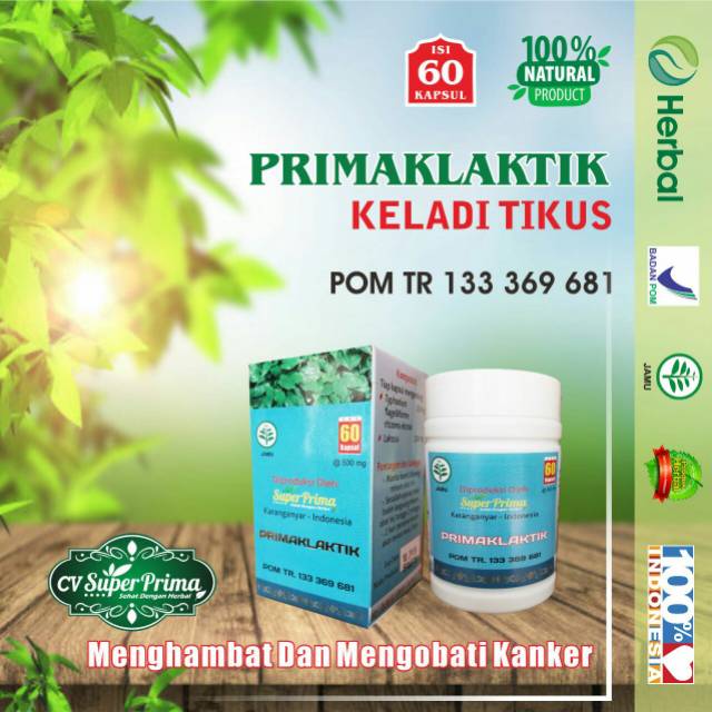 HERBAL EXTRAK KELADI TIKUS MEMBANTU ATASI KANKER