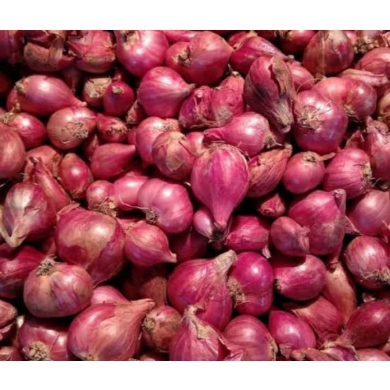 

bawang merah