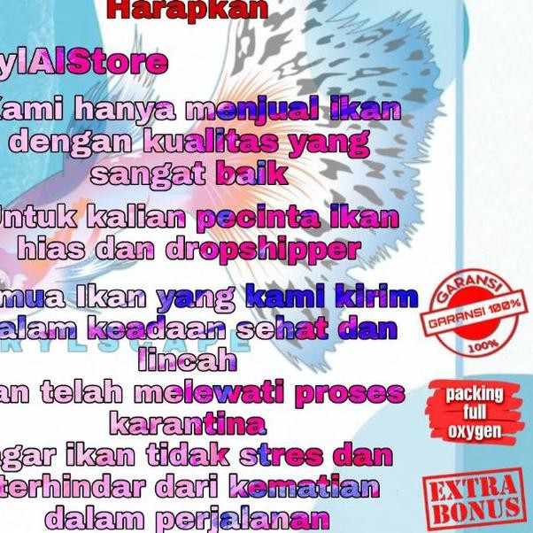 ❊ Ikan Hias Predator Oscar Tiger Batik Ukuran 4-5 Jari ➴