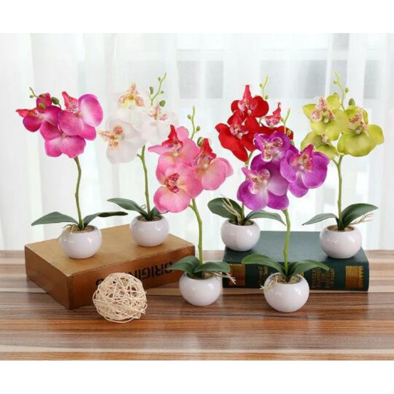 Promo Bunga Hias Plastik Anggrek By AONEZ/Bunga Anggrek Plus Pot