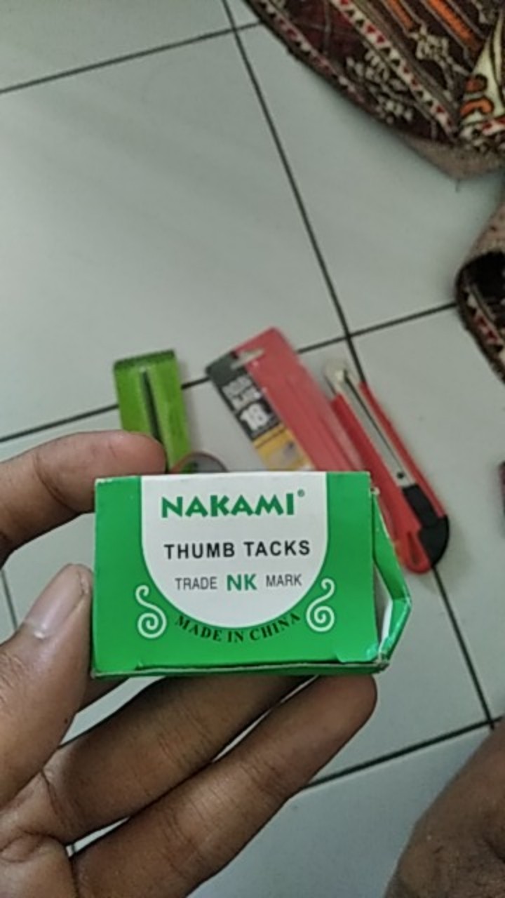 Paku Payung Per Kotak Kecil