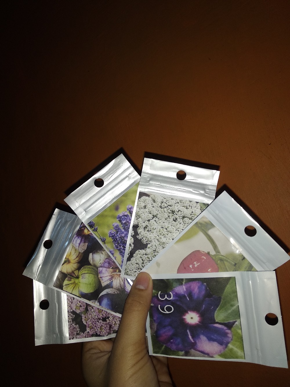 Lavender Hidcote Blue 10 Biji (benih Biji Bibit Tanaman Bunga)