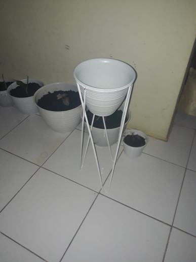 Standing Pot X Tinggi 30-40-50 Cm