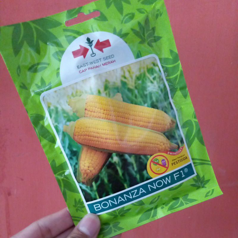 

BONANZA NOW F1 200 Butir Benih Jagung Manis
