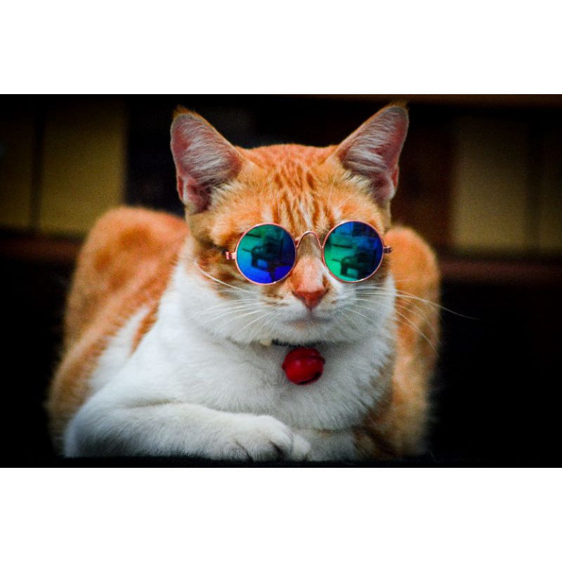 ELYE STORE | Kacamata Kucing | Kacamata Mini
