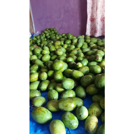 

mangga kueni