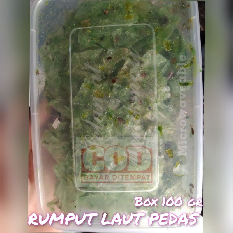 

KERIPIK KACA PEDAS RUMPUT LAUT KEMASAN BOX 100GR GURIH