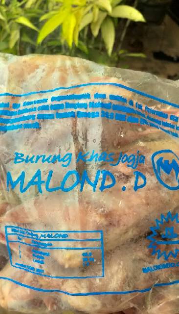 Puyuh Malon Grade D isi 10 ekor per pack