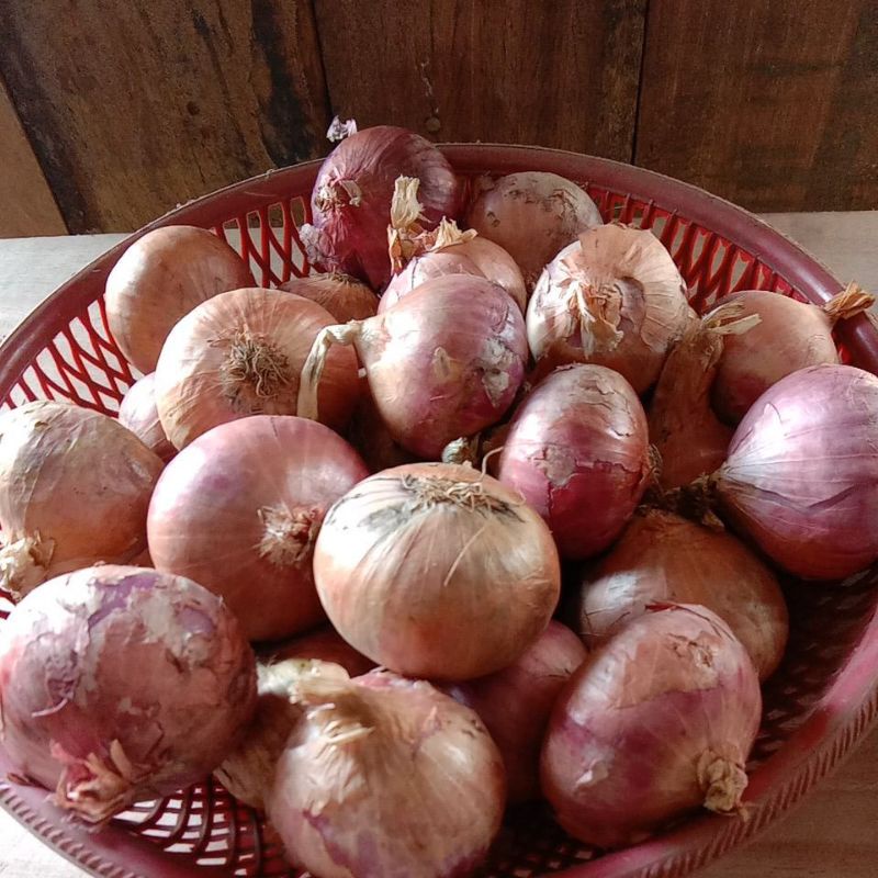 

Brambang india fresh
