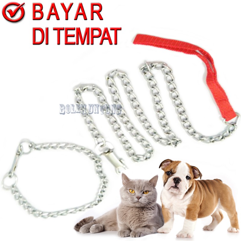 RANTAI ANJING MONYET TALI MUSANG KUCING OTER HEWAN
