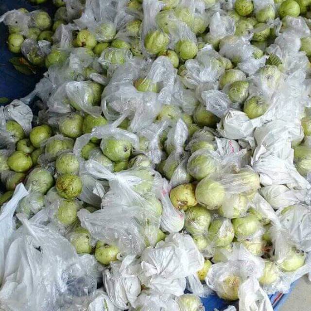 

Jambu Kristal