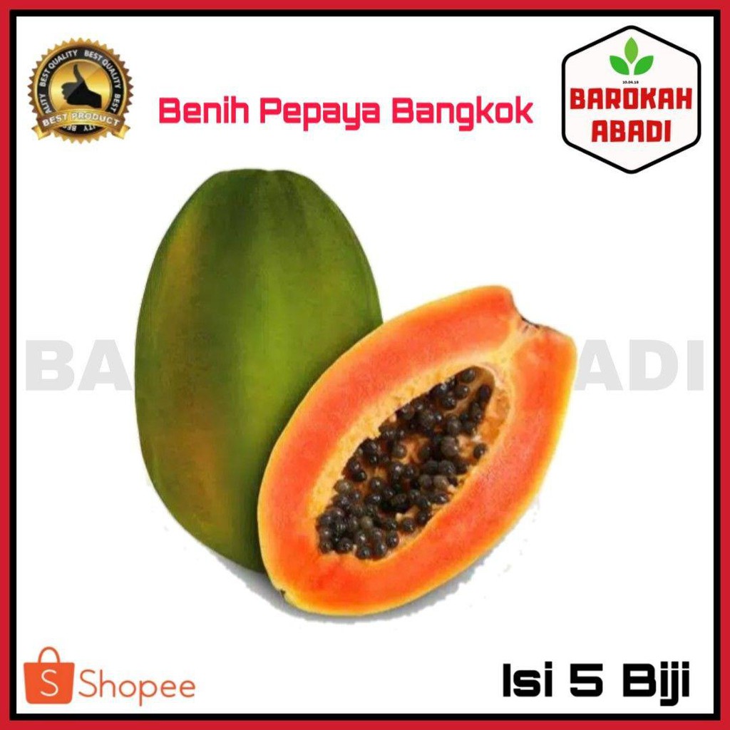 Benih Pepaya Bangkok/Bibit Pepaya Murah