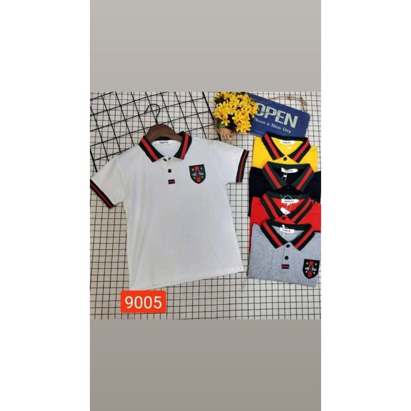 polo import gucci