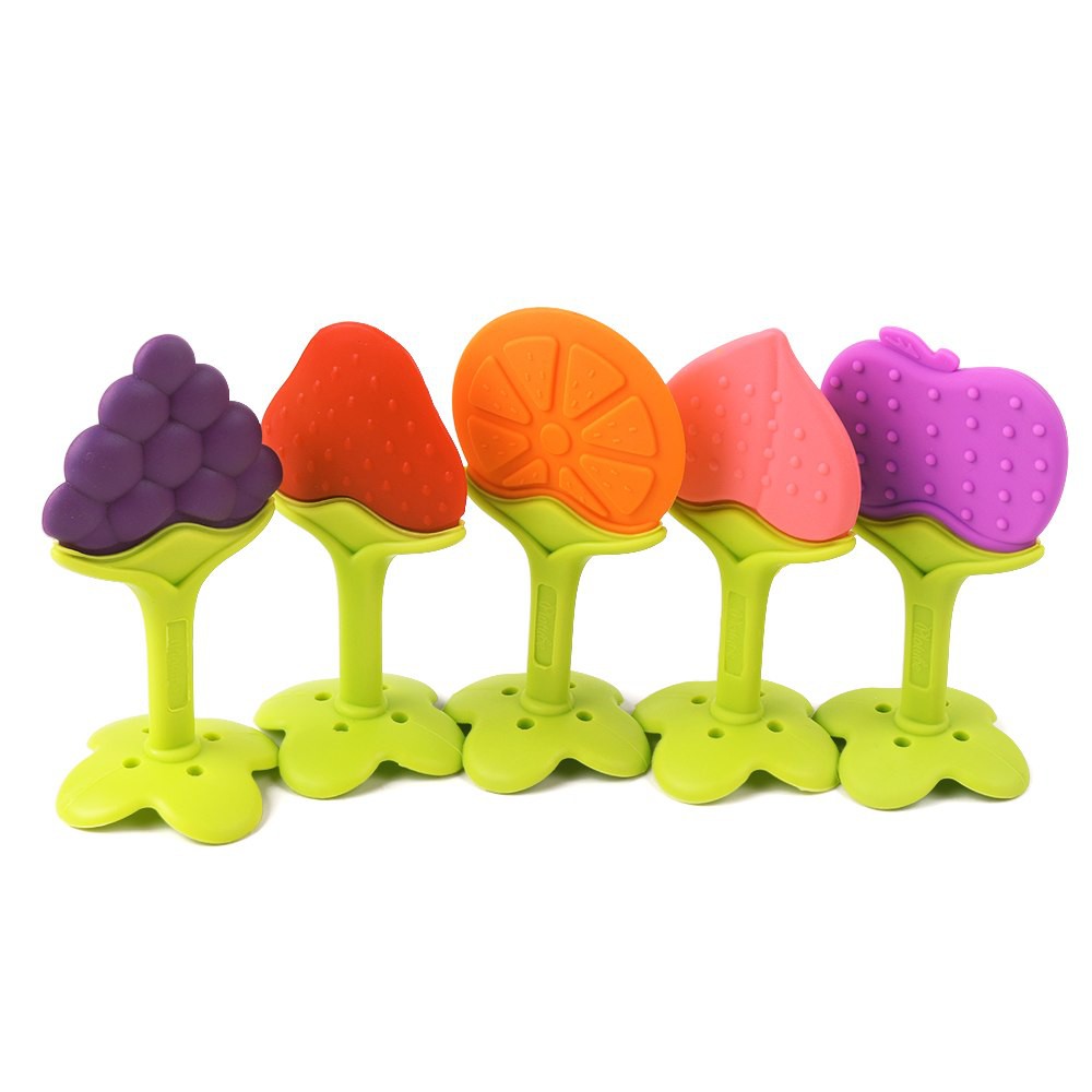 baby fruit teether