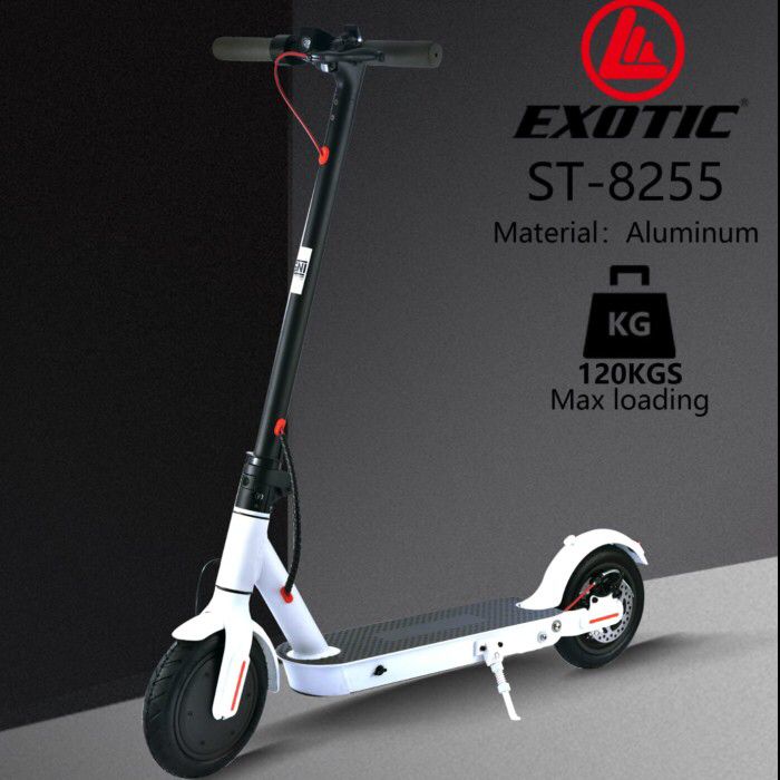 Scooter Exotic Electric ST 8255