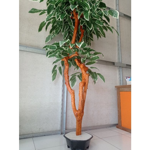 Pohon Hias Palsu Imitasi Batang Dari Kayu Lamtoro Asli Tua Kering Daun Mangga Plastik Pot dari Semen