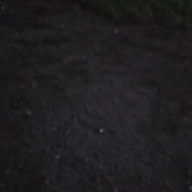 Batik Couple Fitria Lawasan Manuk Kembar (ada Anaknya) Nashimie Store