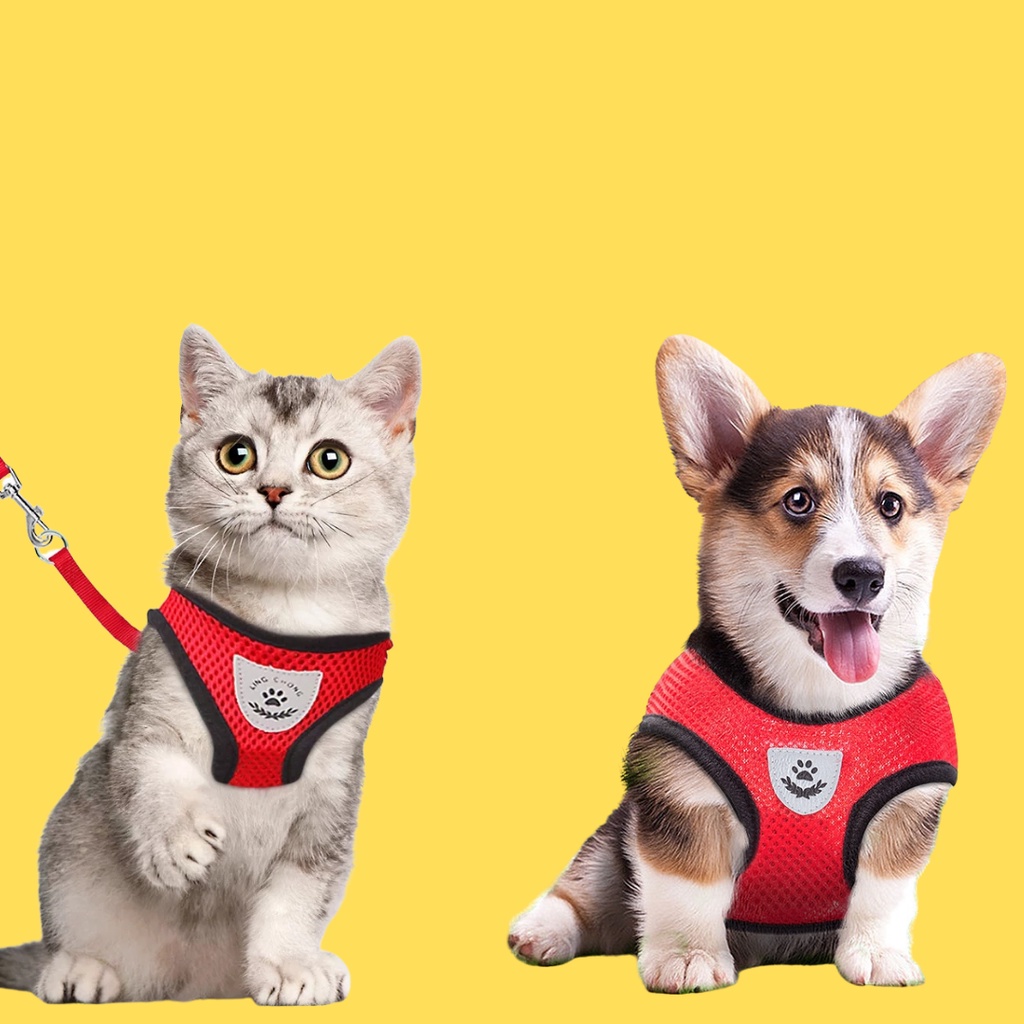 Rompi Harness Kucing Anjing + Tali Tuntun Murah Ukuran S M L XL Aneka Warna