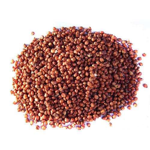 

Trio Natural Sorghum Grain Seeds Biji Sorghum Wholegrain Healthy Food Wheat Substitute Makanan Sehat