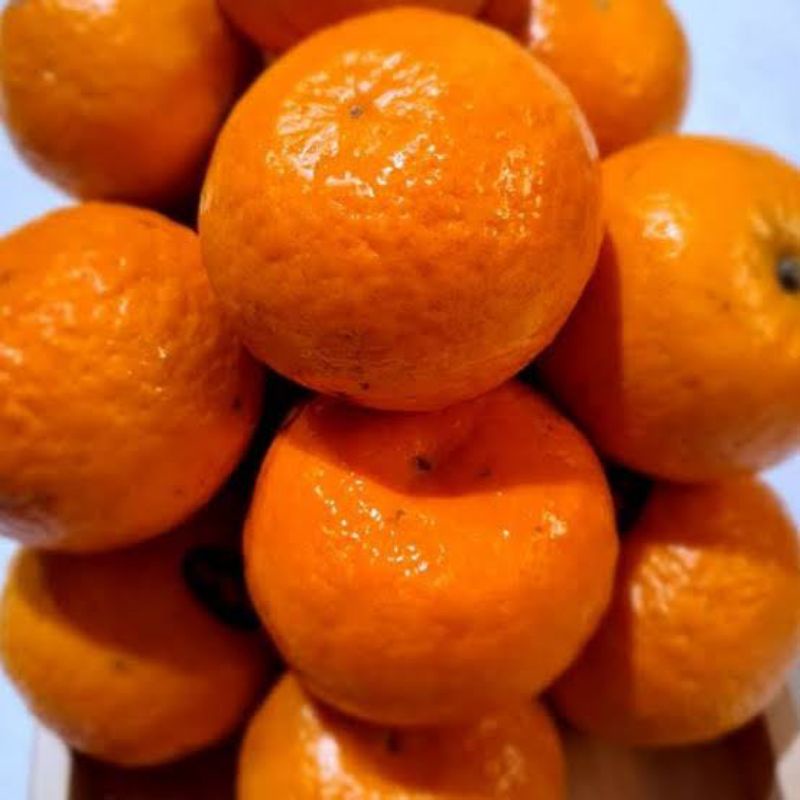 

Jeruk wokam manis wangi 1KG