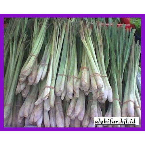 

lanoisidartdrink- daun sereh -asliii-bngittt.