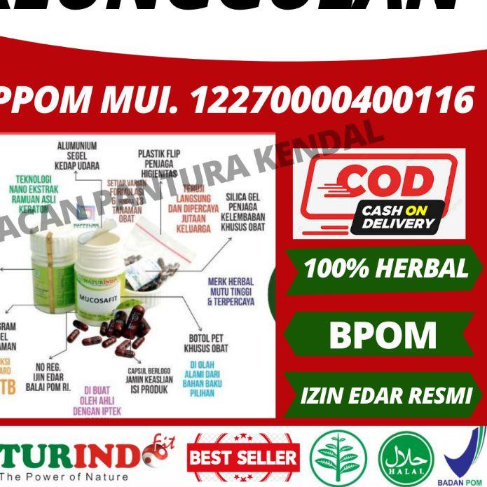 Terbaru Obat Bau Mulut Penghilang Bau Mulut Menahun Kronis Dari Lambung Bau Mulut Busuk Asam Lambung