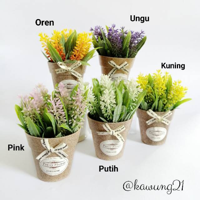 Paling Populer 28 Gambar Bunga Lavender Kuning Gambar Paling Populer 28 Gambar Bunga Lavender Kuning Gambar