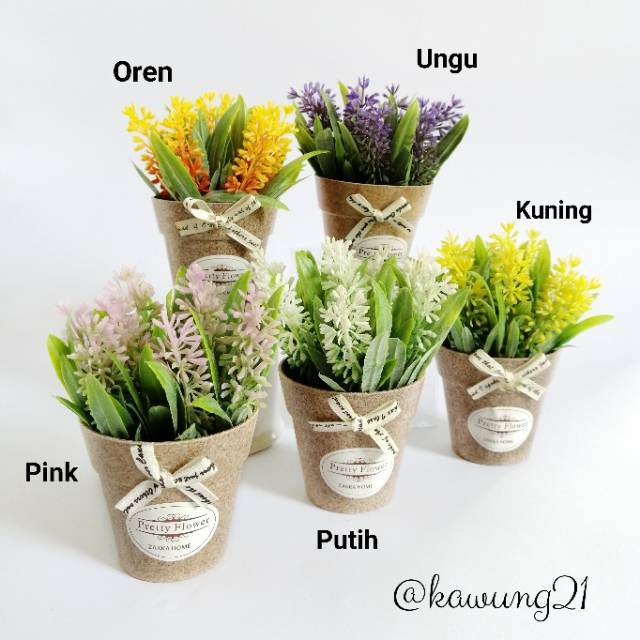 Paling Populer 28 Gambar Bunga  Lavender  Kuning Gambar 