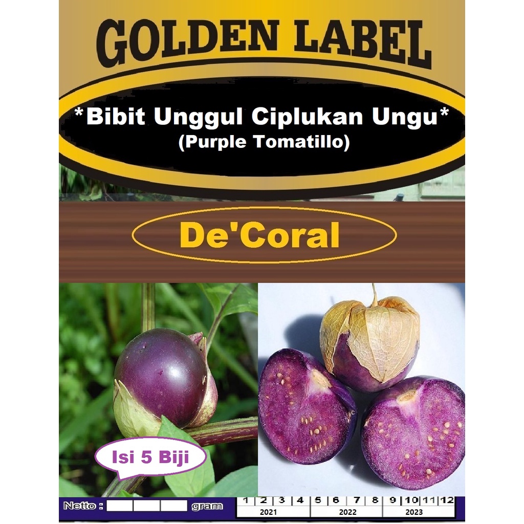 Bibit Unggul Ciplukan Ungu |Benih Ciplukan Ungu |Bibit Ciplukan Purple