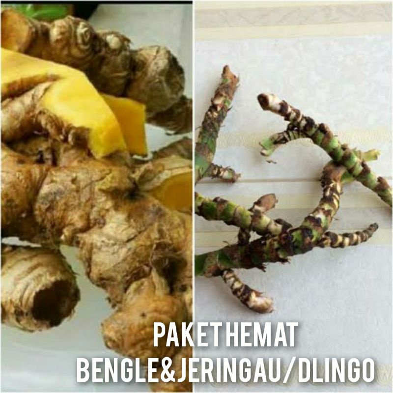 

Paket Hemat DRINGO/JERINGAU/DLINGO dan BENGLE 100gr