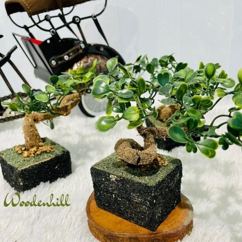 Furniture hiasan rangkaian bunga bonsai daun semanggi plastik artifisial, unik , lucu dan klasik, penghias ruangan serbaguna