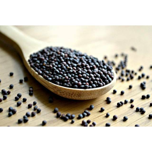 

Premium Black Mustard Seeds | Biji Sawi Hitam | Imported From India