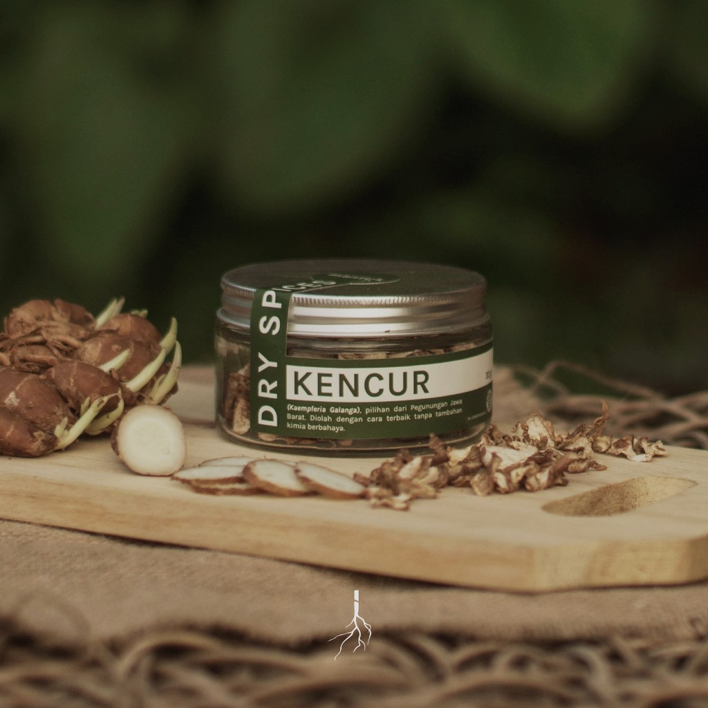 

Kencur Kering Teh Rempah Seduh Dry Spices & Herbs manttik