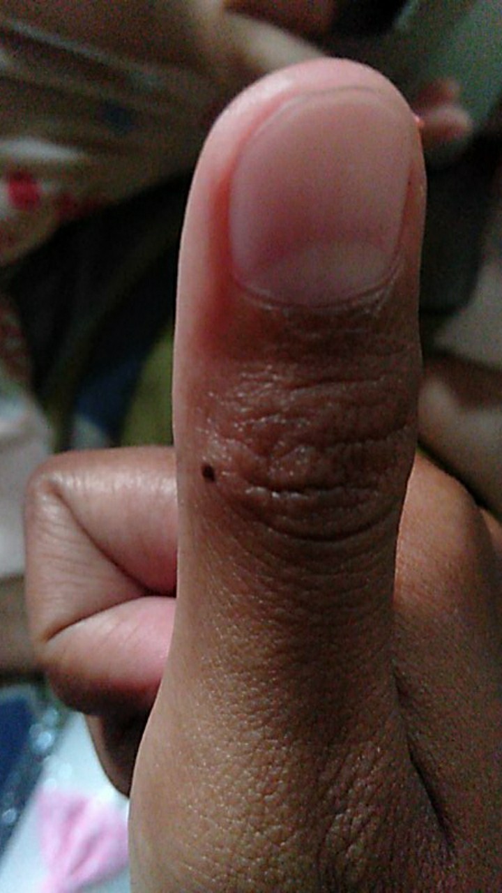 Termurah  Garukan Punggung Badan Murah Bisa Perpanjang Extendable Claw Scratcher Cakar Elang