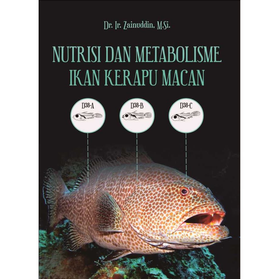 

Nutrisi dan Metabolisme Ikan Kerapu Macan ORIGINAL Deepublish
