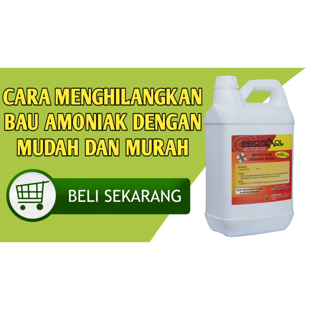 Penghilang Bau Amoniak Protexol Kemasan 5 Liter Penghilang Bau Amonia