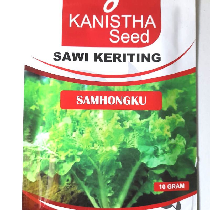 BENIH SAWI KERITING SAMHONG IMPORT KANISTHA SEED PREMIUM F1