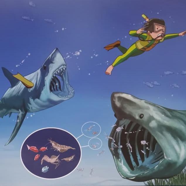 Kumpulan contoh gambar: Contoh Gambar Ilustrasi Cerita Bergambar Hewan Ikan