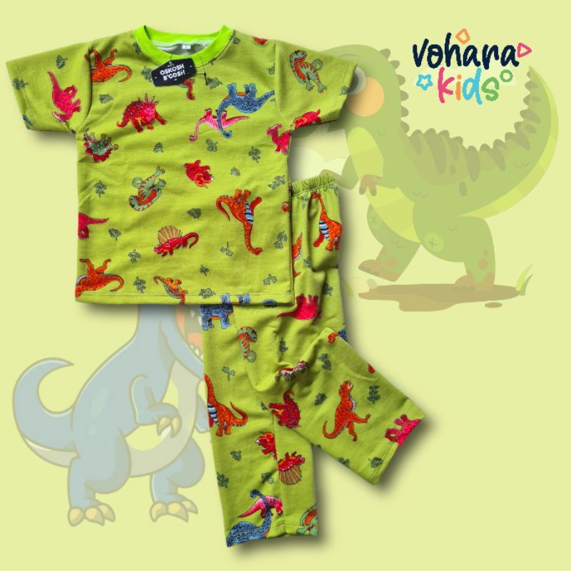 Setelan Anak Babyterry Motif HAPPY ANIMAL/ DINO Setelan Anak Kekinian SETELAN DINO